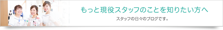 もっと現役スタッフのことが知りたい方へ